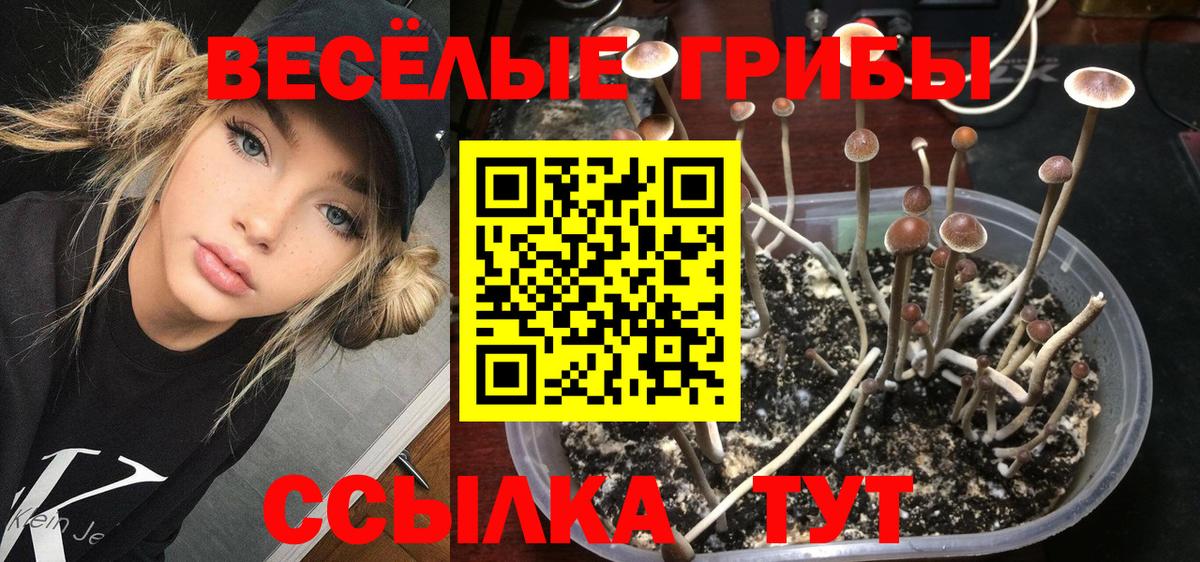 Менделеевск  Галлюциногенные грибы ЛСД  Галлюциногенные грибы мухоморы  Вход с VPN 